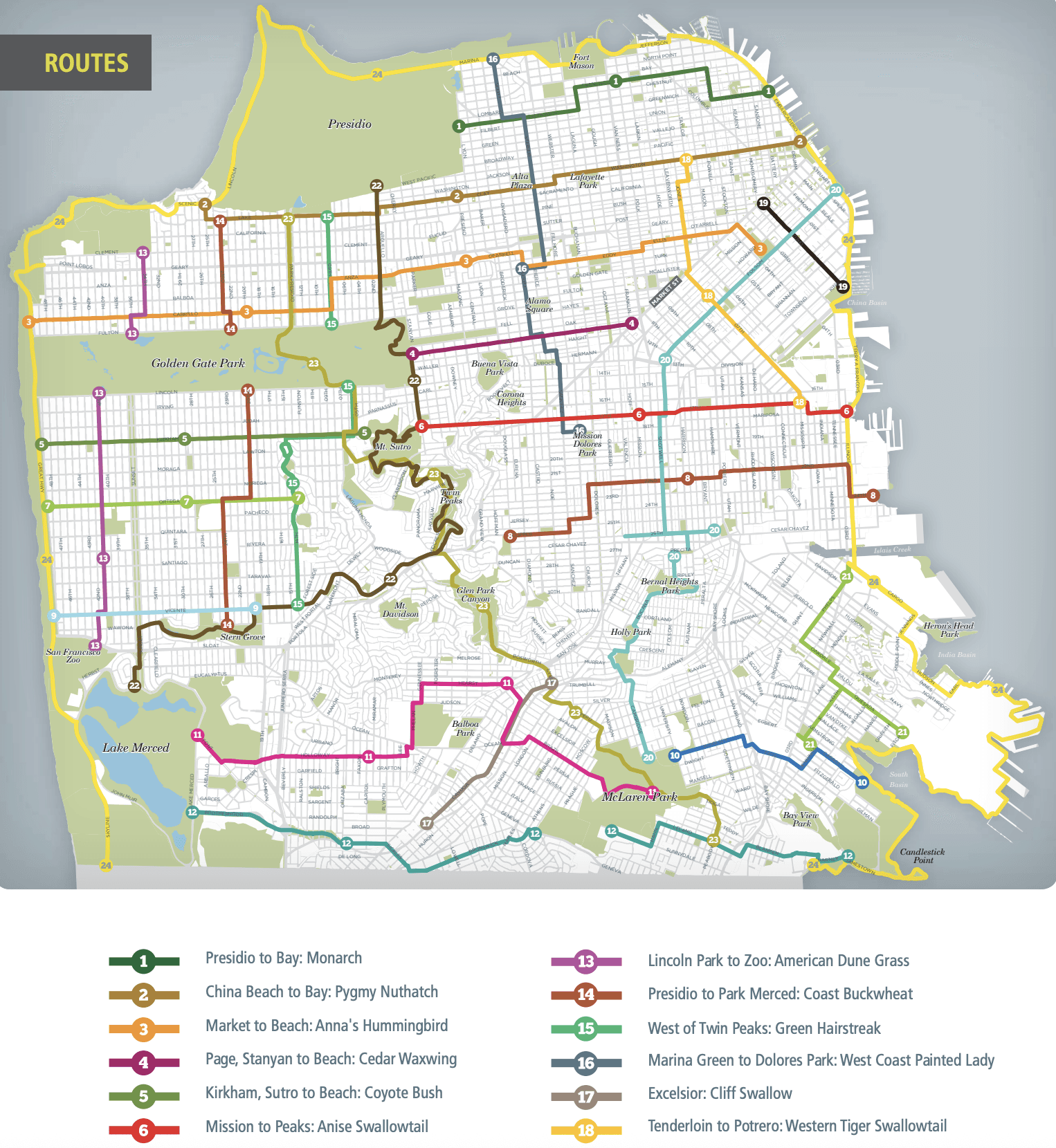 Map of San Francisco's Green Connections routes, each named for a key wildlife species (e.g. 'Presidio to Bay: Monarch', 'Mission to Peaks: Anise Swallowtail') and color-coded across the city.