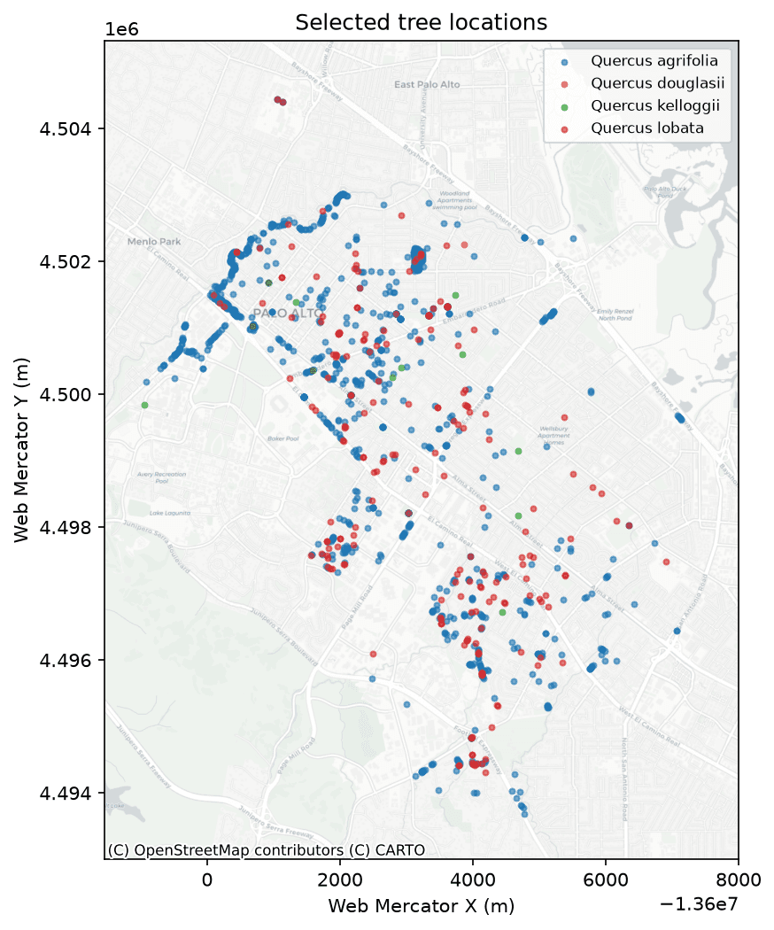 Map of native oak tree locations in Palo Alto