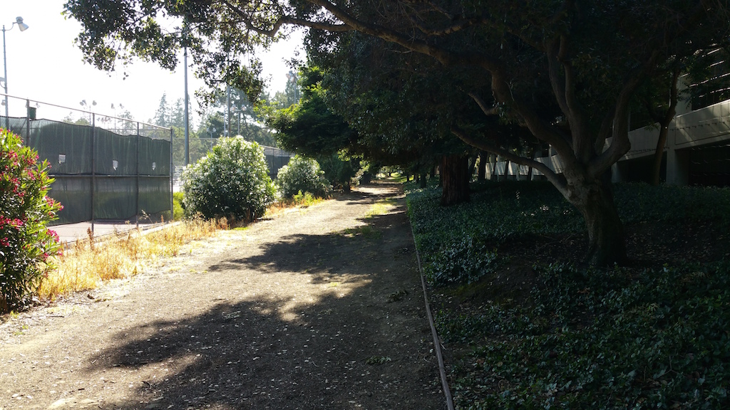 court-trail-small