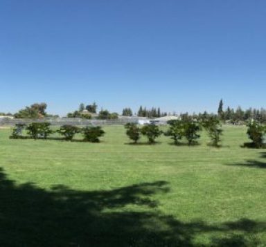 cubberly-sportsfield-trail