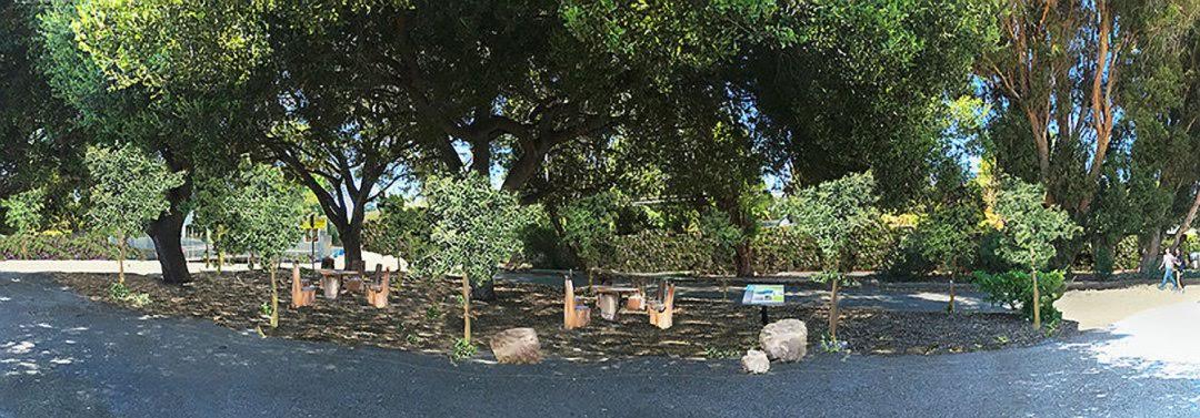cubberly-three-oaks-snapshot