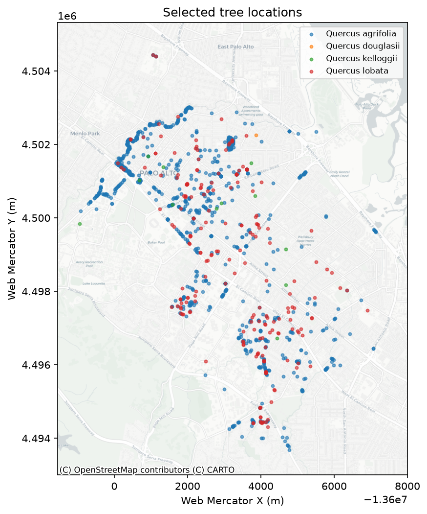 Map of native oak tree locations in Palo Alto
